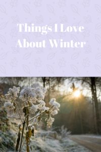 Things I love about winter