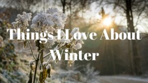 Things I love about Winter