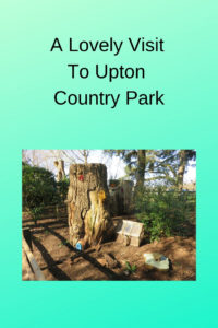 fairy houses made from tree trunks that you can see on a visit to Upton country park