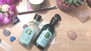 body shop tea tree shampoo and conditioner empties used during June