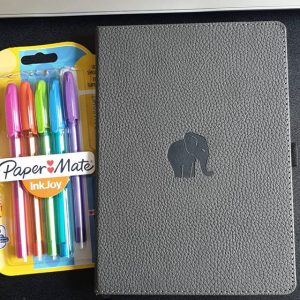 bullet journal and pens bought in August
