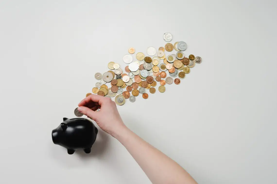 piggy bank and coins for saving money