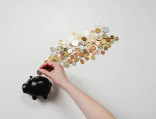 piggy bank and coins for saving money