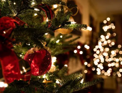 Christmas trees- festive blog posts this Christmas