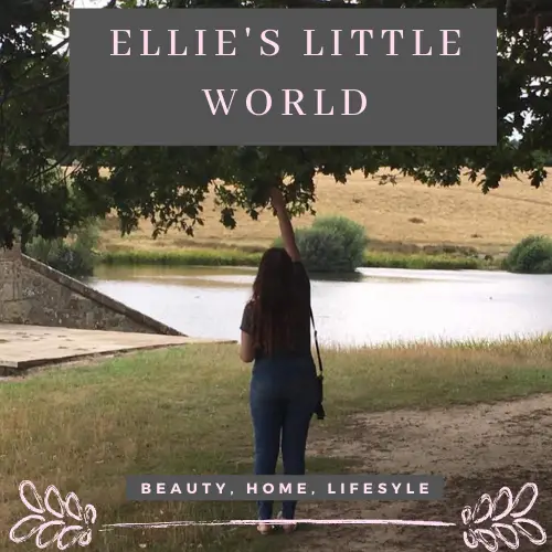 Ellie's Little World blog