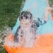 little boy sliding down a garden water slide