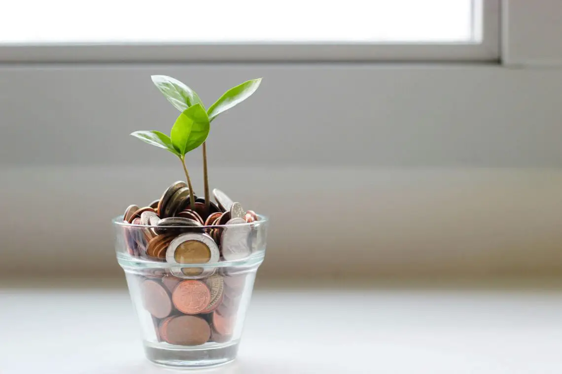 a glass filled with coins and a green shoot growing out of it